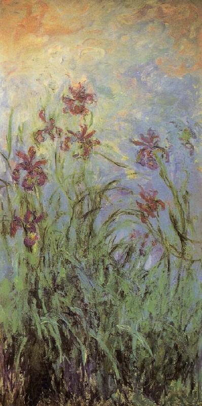Claude Monet Lilac Irises China oil painting art